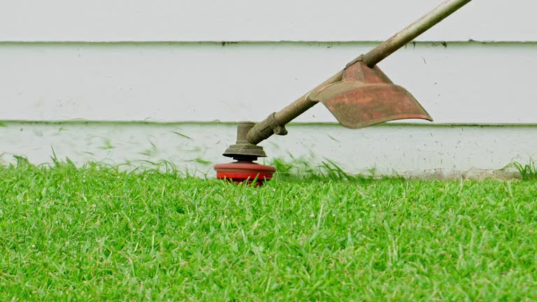 Best Aeration Services  in USA